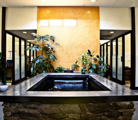 Custom Koi Pond at DDMA