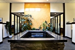 Custom Koi Pond at DDMA