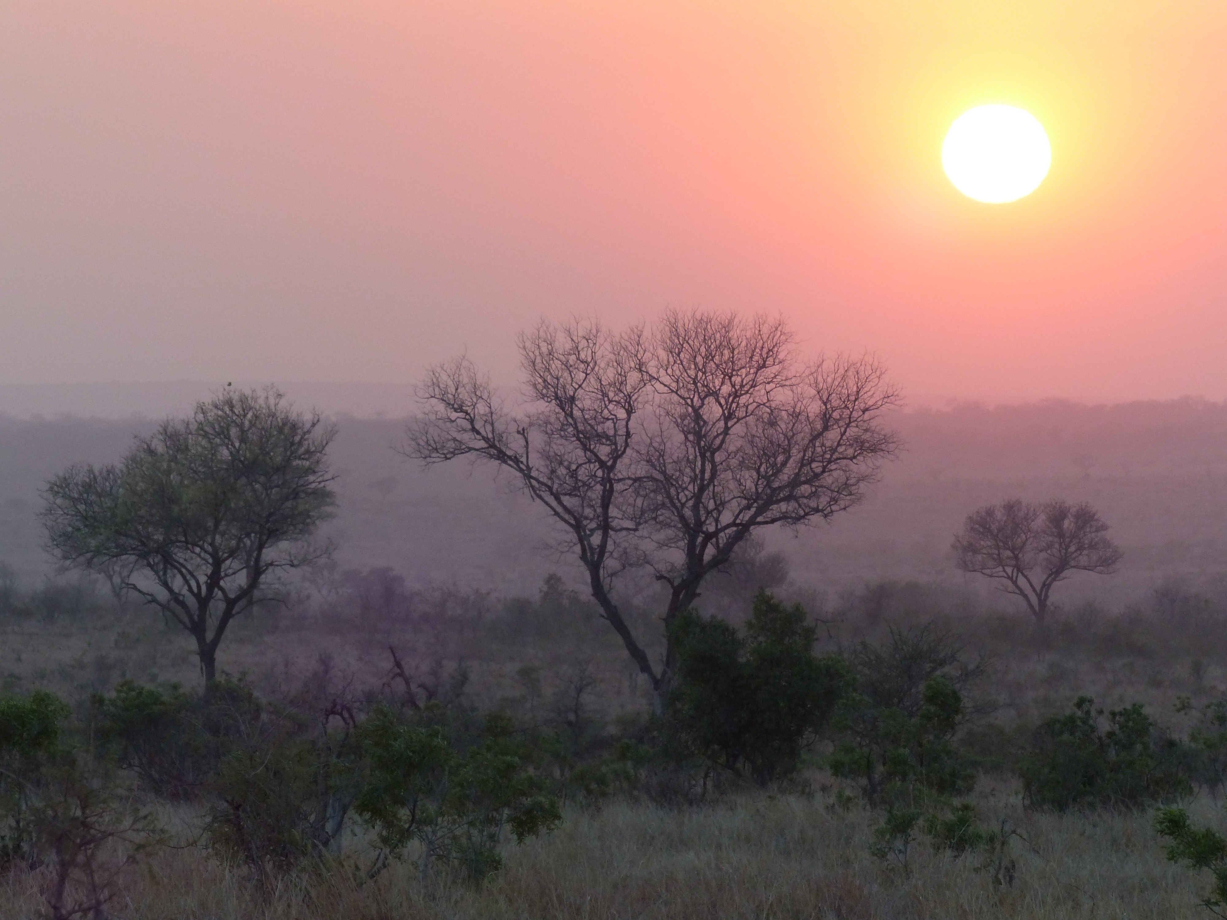 Sunrise in South Africa